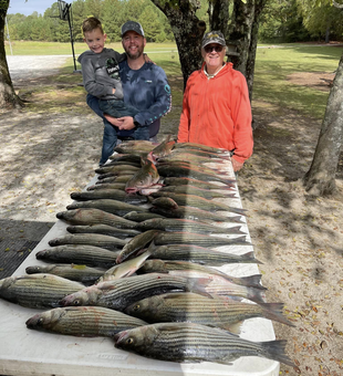 Lake Murray Bass Fishing 